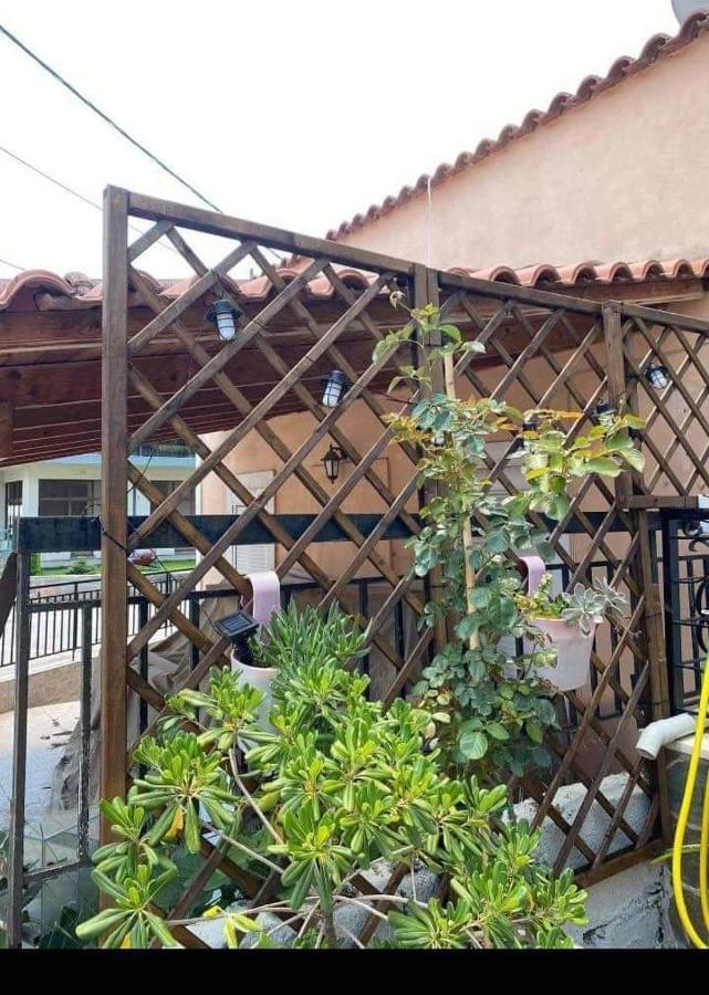 Sady'S House Daire Yimnon Dış mekan fotoğraf